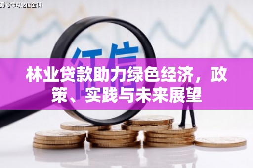 分宜林业贷款助力绿色经济，政策、实践与未来展望