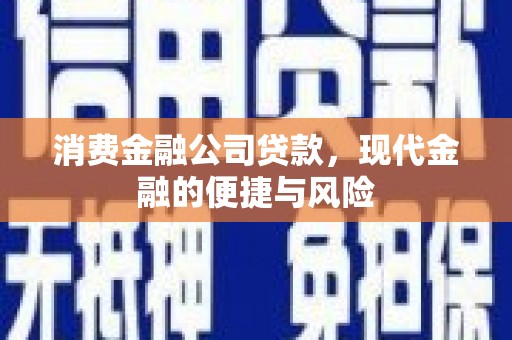 分宜消费金融公司贷款，现代金融的便捷与风险