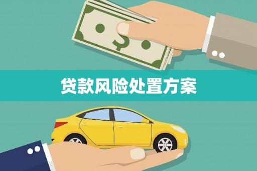 分宜贷款风险处置方案