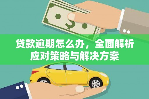 分宜贷款逾期怎么办，全面解析应对策略与解决方案