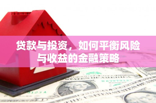 分宜贷款与投资，如何平衡风险与收益的金融策略