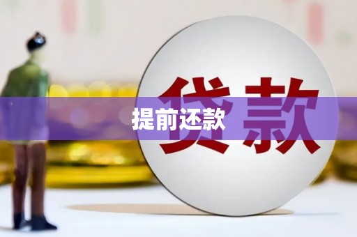 分宜提前还款