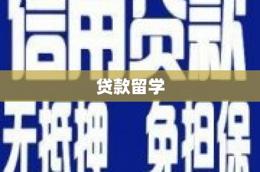 分宜贷款留学