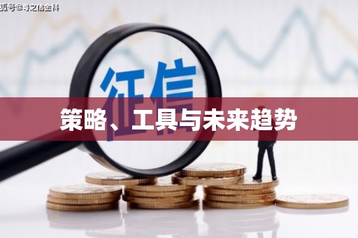分宜策略、工具与未来趋势
