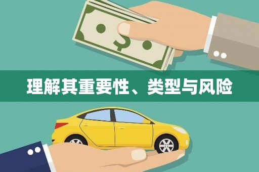 分宜理解其重要性、类型与风险