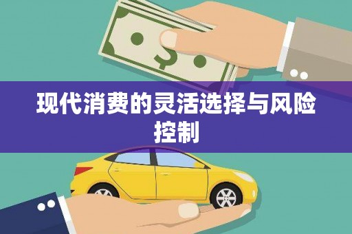 分宜现代消费的灵活选择与风险控制