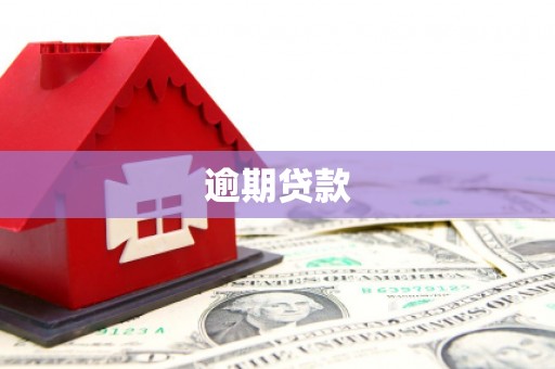 分宜逾期贷款