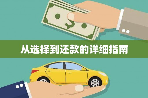 分宜从选择到还款的详细指南