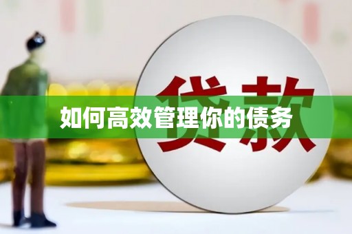 分宜如何高效管理你的债务