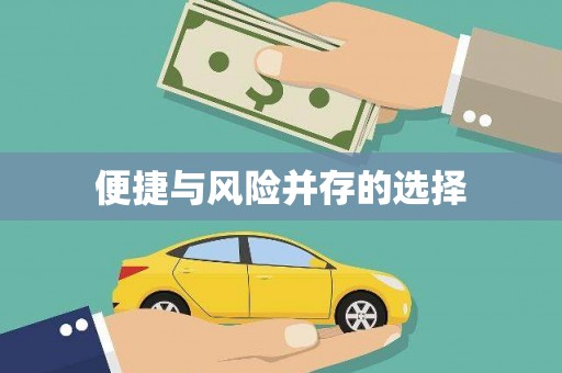 分宜便捷与风险并存的选择
