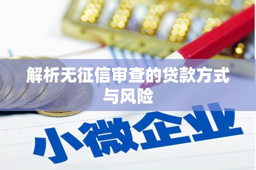 分宜解析无征信审查的贷款方式与风险