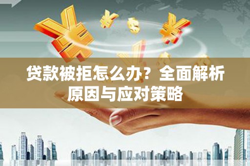 分宜贷款被拒怎么办？全面解析原因与应对策略