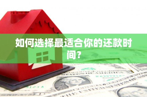 分宜如何选择最适合你的还款时间？