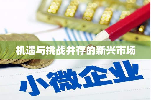 分宜机遇与挑战并存的新兴市场