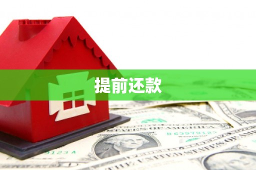 分宜提前还款