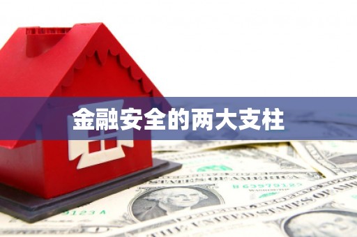 分宜金融安全的两大支柱