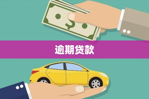 分宜逾期贷款