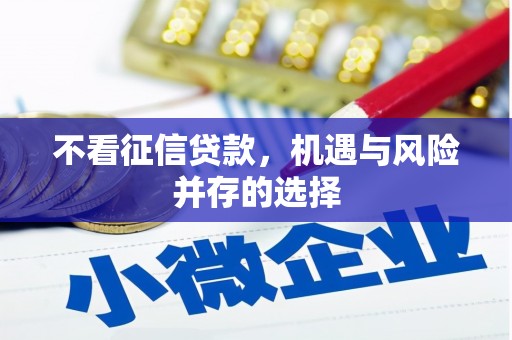 分宜不看征信贷款，机遇与风险并存的选择