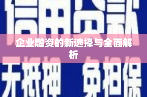 分宜企业融资的新选择与全面解析