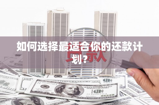 分宜如何选择最适合你的还款计划？