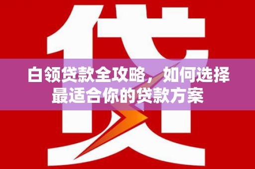 分宜白领贷款全攻略，如何选择最适合你的贷款方案