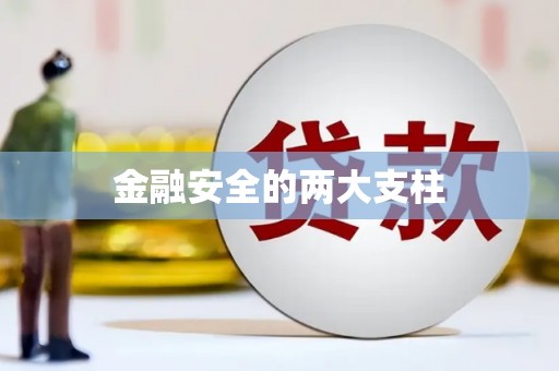 分宜金融安全的两大支柱