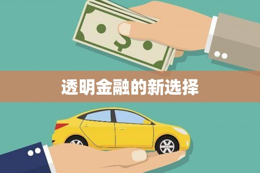 分宜透明金融的新选择