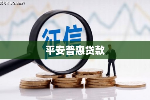 分宜平安普惠贷款