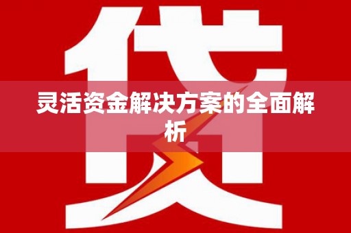 分宜灵活资金解决方案的全面解析