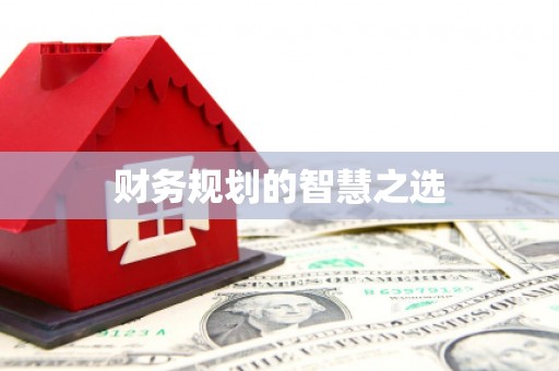 分宜财务规划的智慧之选