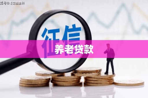 分宜养老贷款