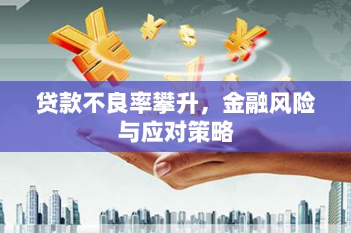 分宜贷款不良率攀升，金融风险与应对策略