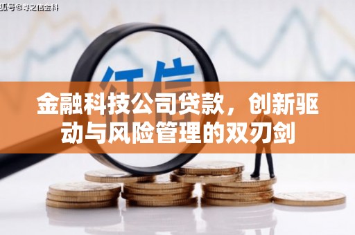 分宜金融科技公司贷款，创新驱动与风险管理的双刃剑