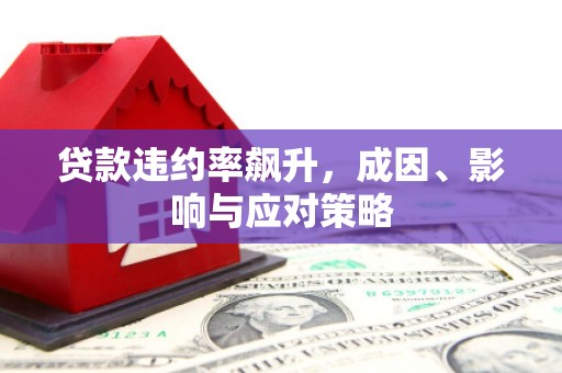 分宜贷款违约率飙升，成因、影响与应对策略
