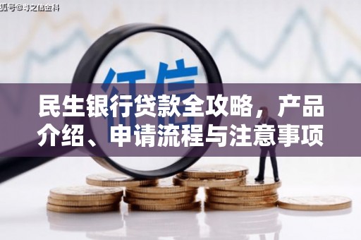 分宜民生银行贷款全攻略，产品介绍、申请流程与注意事项