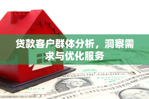 分宜贷款客户群体分析，洞察需求与优化服务